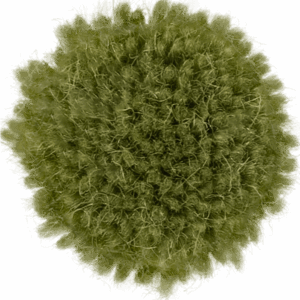 Greens