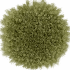 Pea