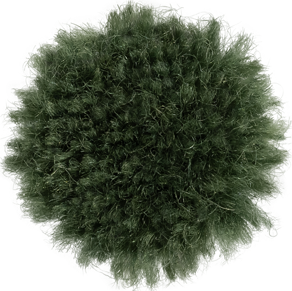 Pine