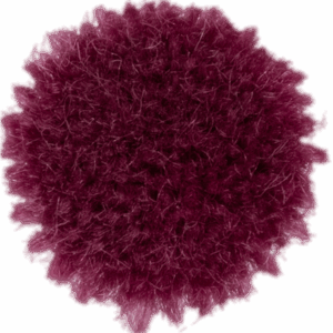 Raspberry