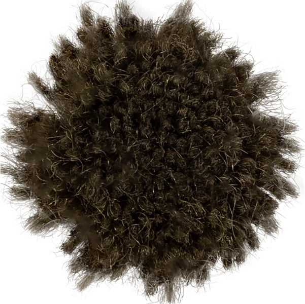 Seaweed