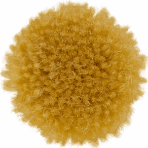 Sorbet