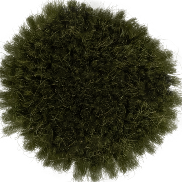 Spruce