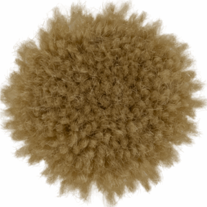 Tumbleweed