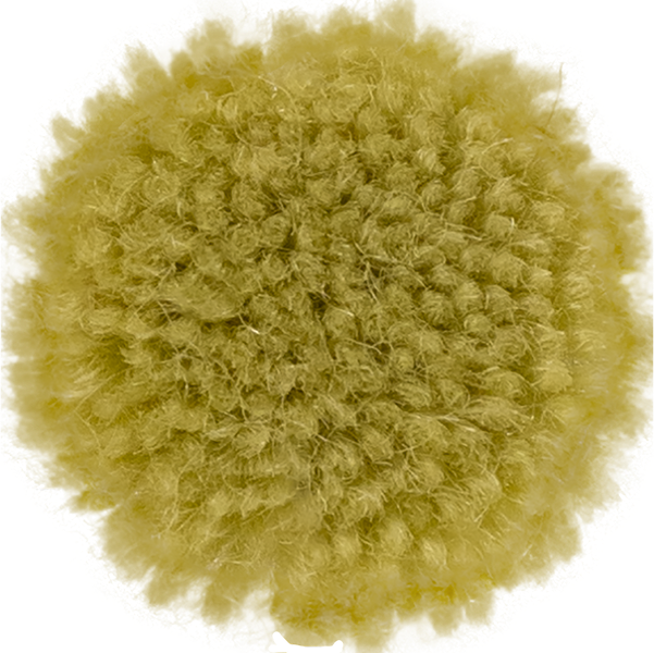 Wasabi