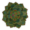 Luxury custom designer rug shaped like a green succulent with layered leaves.