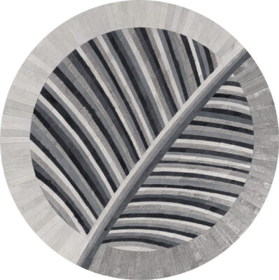 Biota 00422 luxury designer rug with abstract curved lines in grey and black.