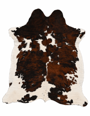 Luxury designer handmade hide rug in tricolor, flat with natural edges shown.