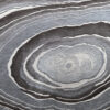 A close-up of layered gray and white concentric rings on a luxury designer custom rug.