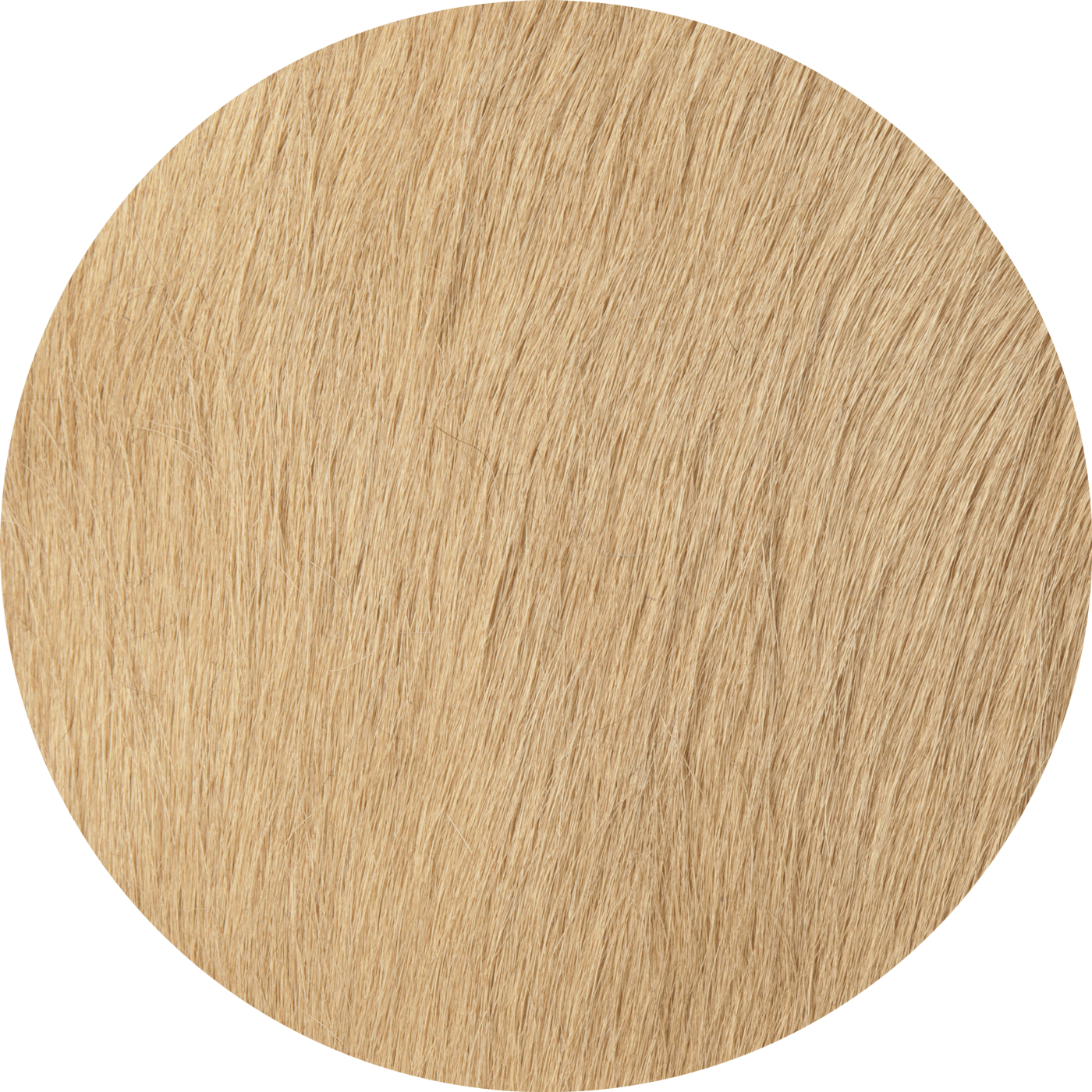 Detailed texture of light blonde strands, evoking luxury handmade silk designer rugs.