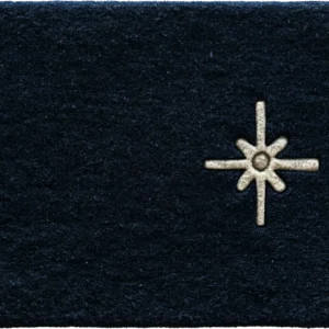 Luxury designer rug in dark textured finish with a vertical beige stripe and star motif.