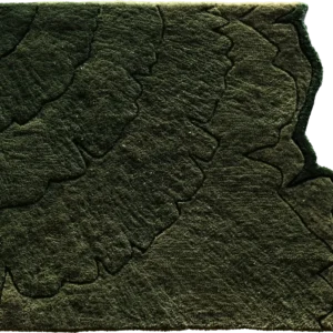 Aerial view of layered green forest inspires luxury custom designer rugs with organic patterns.