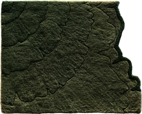 Aerial view of layered green forest inspires luxury custom designer rugs with organic patterns.