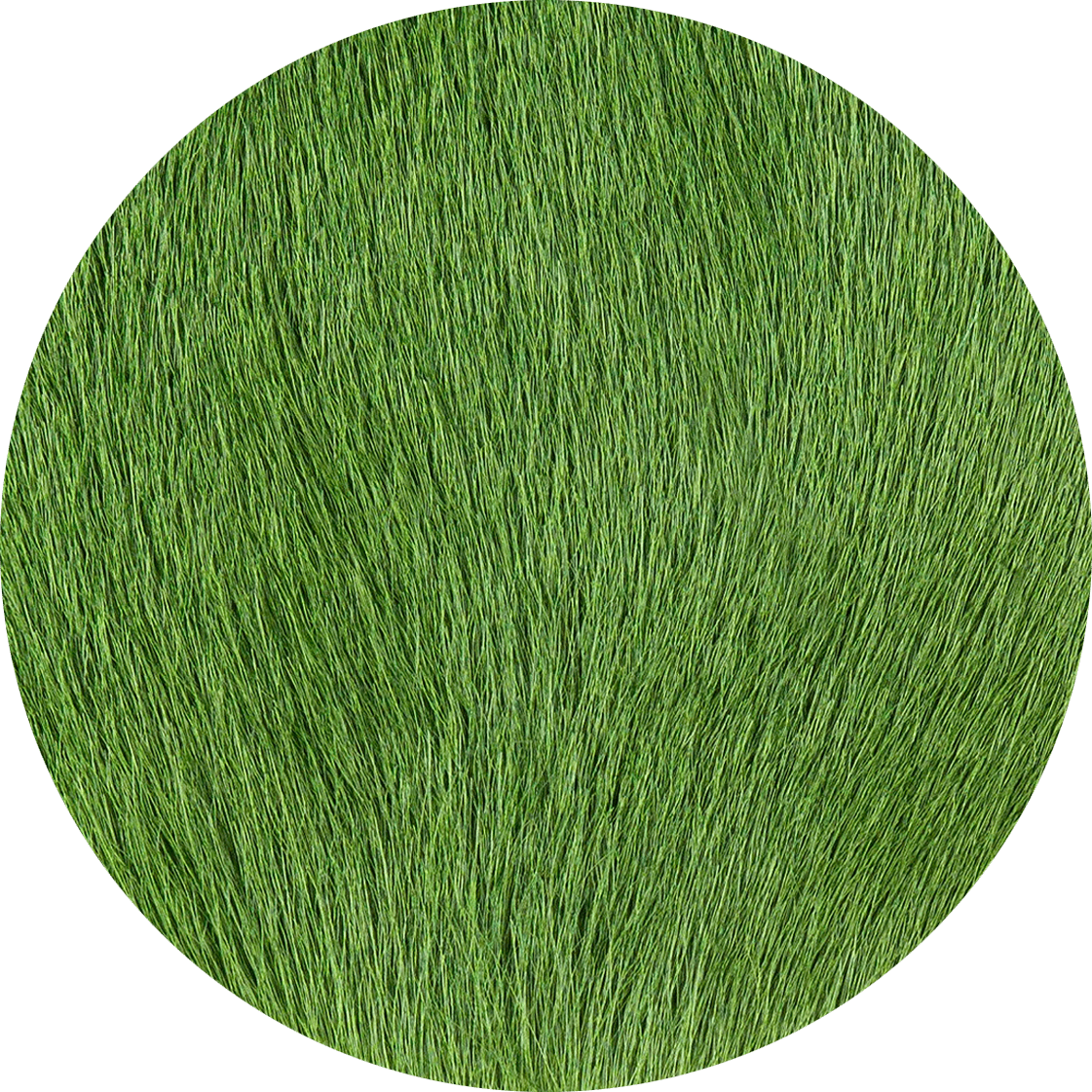 A circular green luxury custom rug with a dense, uniform designer wool texture viewed from above.