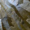 Close-up of Submerge Hide 25491, a luxury designer rug with overlapping handmade hide pieces in varied browns.