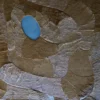 Luxury designer rug with abstract brown and tan textures, blue oval accent, and high-end handmade quality.