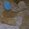 Close-up of overlapping brown fur and a blue oval on a luxury designer hide rug.