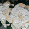 Close-up of two stylized white flowers with green leaves on a dark background, featured in luxury designer handmade hide rug.