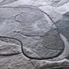 Close-up of luxury designer rug with irregular gray-white fur patches and visible seams.