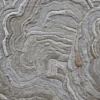Close-up of Aubusson Hide 16290, a luxury designer hide rug with swirling, textured patterns.