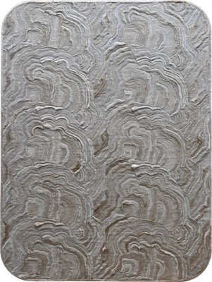 Aubusson Hide 16290 luxury designer rug with rounded corners and artisanal grain patterns.