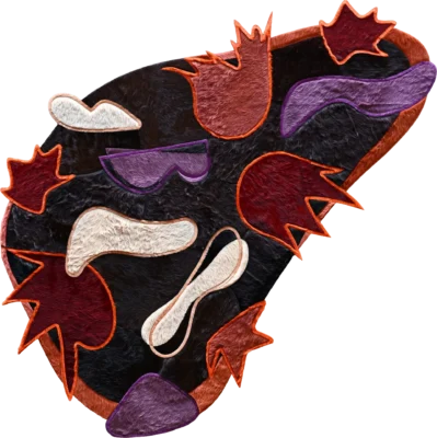 Luxury designer rug with irregular black base, outlined leaf motifs, and bold orange borders.