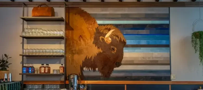 Tecovas Studio Custom Hide Art