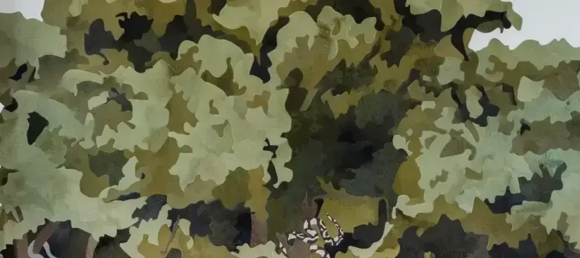 Fern Office Custom Hide Art